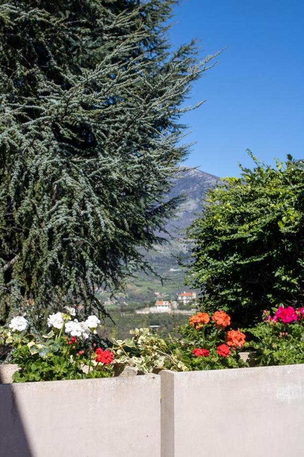 Villa Cipriano ミントゥルノ エクステリア 写真